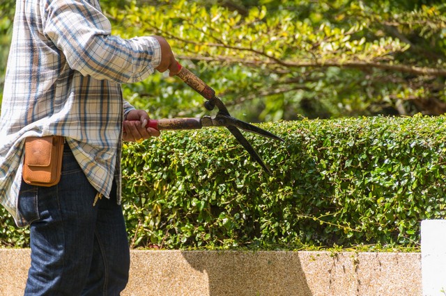 Garden Maintenance Grays, Badgers Dene, RM17